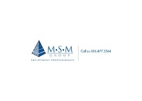 MSM Group MSM Group